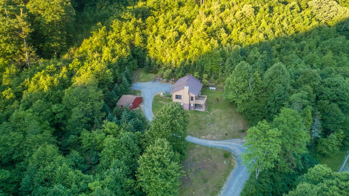 This exterior shot captures the Pine Creek Cabin nestled among tall trees, with a gravel pathway leading into the surrounding forest and a red shed in the background. The image conveys a sense of seclusion, privacy, and direct immersion in nature.