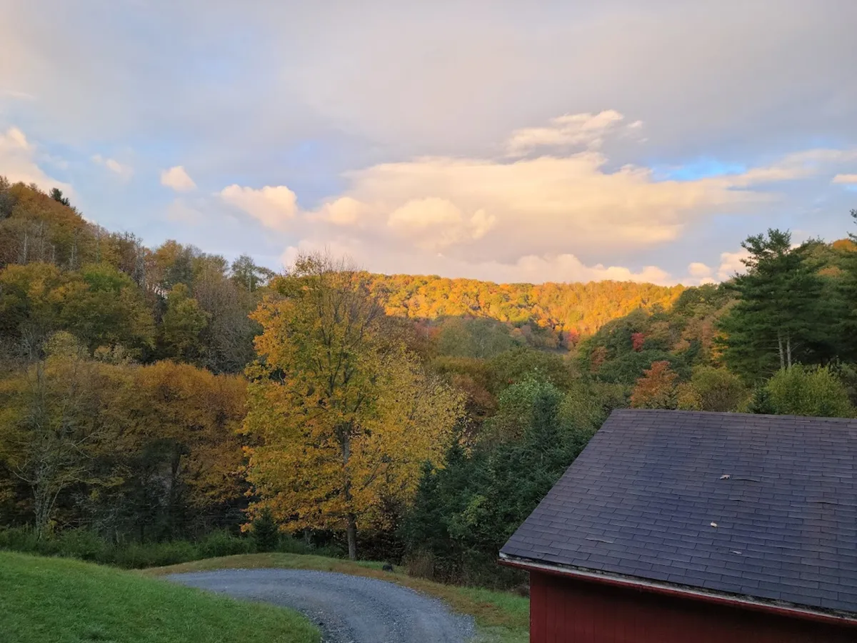 A breathtaking view of vibrant autumn foliage carpeting rolling hills under a glowing sunset sky. The landscape invites hiking, nature walks, and photography, and alludes to the scenic experiences awaiting on the nearby Greenway and Blue Ridge Parkway.