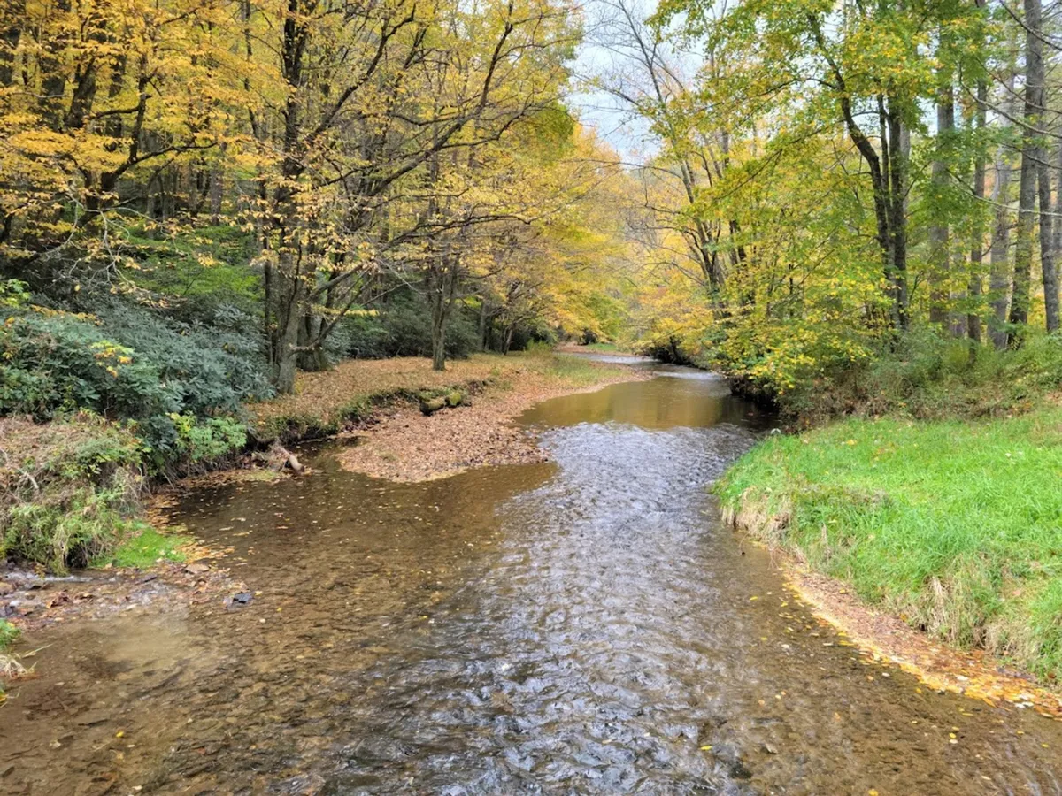 A peaceful, meandering river bordered by colorful autumn trees and a gentle tree line. The tranquil setting reflects the type of scenery found along the Middle Fork Greenway, ideal for walking, bird watching, and quiet moments in nature.